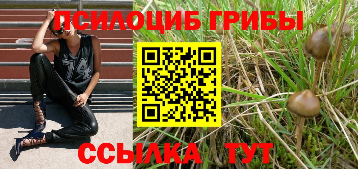 Псилоцибиновые грибы мицелий Коломна