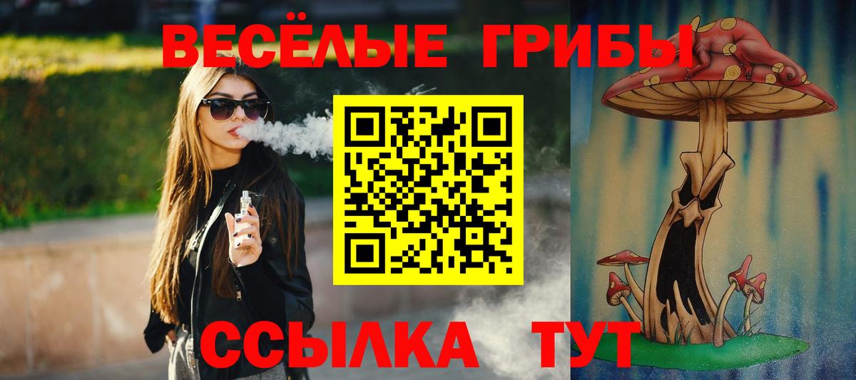 Псилоцибиновые грибы Psilocybine cubensis  Вход с VPN  Галлюциногенные грибы GOLDEN TEACHER  закладки  Коломна 